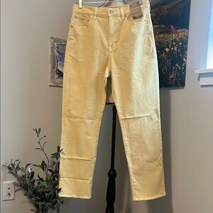 NWT Madewell ‘90s Straight Leg Jeans